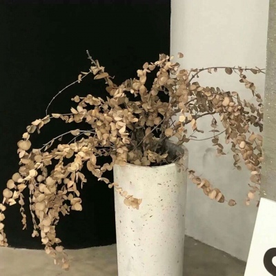 仲巴FurryQQ群介绍